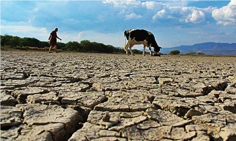 Sociedad mexico sin lluvia por decadas 1