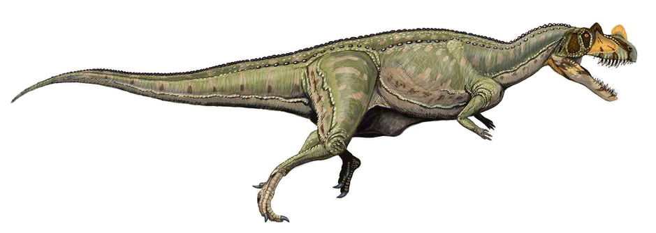 Investigacion nueva especie de dinosaurio descubierta 1