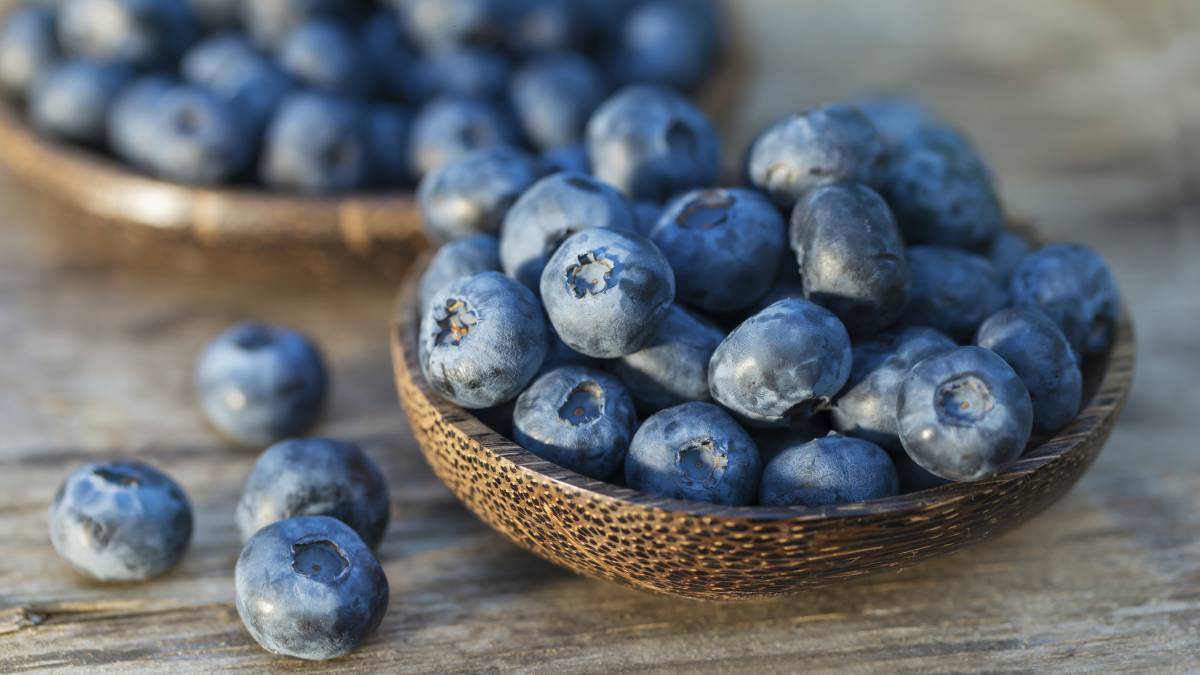 Curiosidades por que los arandanos son azules 1