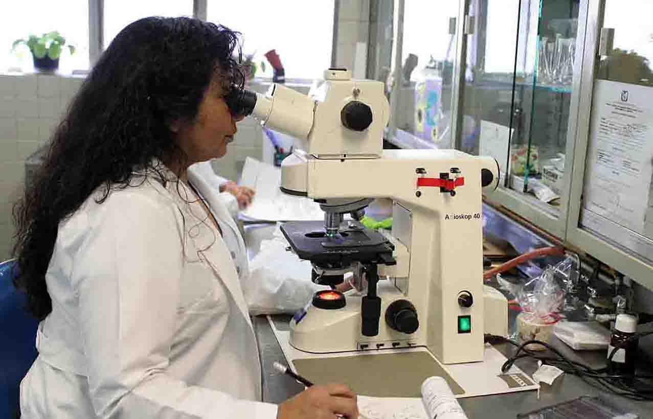 Ciencia cerebro de laboratorio 1