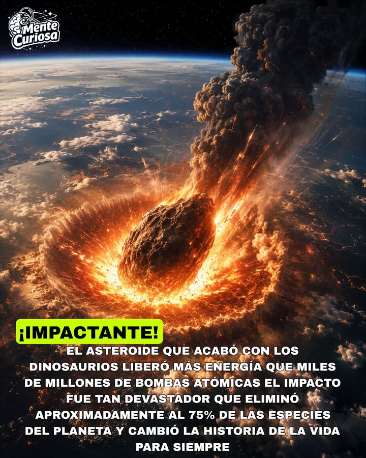 🚨☄️😳🌍 HACE 66 MILLONES DE AÑOS UN ASTEROIDE GOLPEÓ LA TIERRA CON TANTA FUERZA QUE LIBERÓ MÁS ENERGÍA QUE MILES DE MILLONES DE BO...
