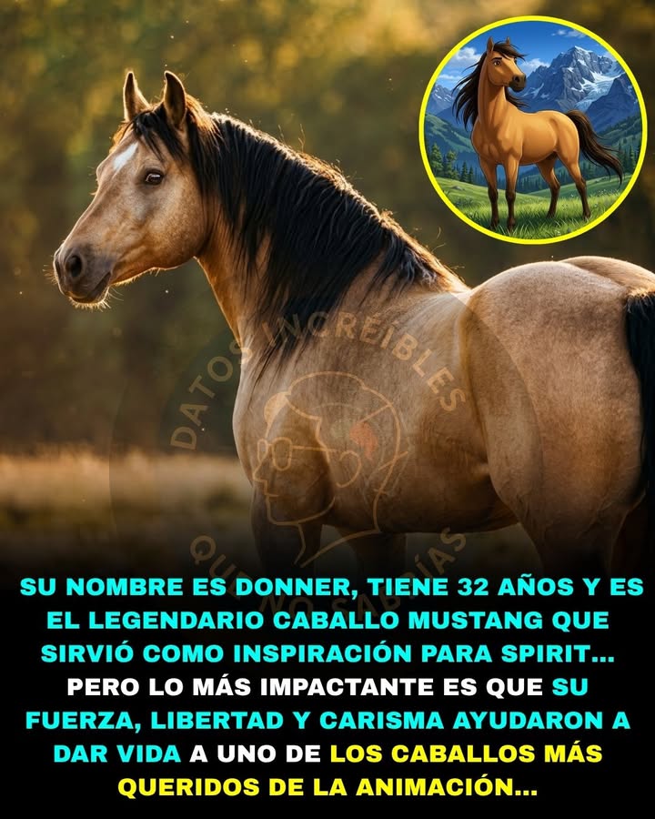 🐎🌟🚨 EL VERDADERO SPIRIT EXISTE… Y SU HISTORIA ES TAN INCREÍBLE COMO LA PELÍCULA