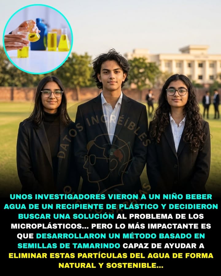🧲💧🚨 TRES ADOLESCENTES CREARON UN POLVO QUE ATRAPA MICROPLÁSTICOS EN EL AGUA… Y GANARON UN PREMIO MUNDIAL