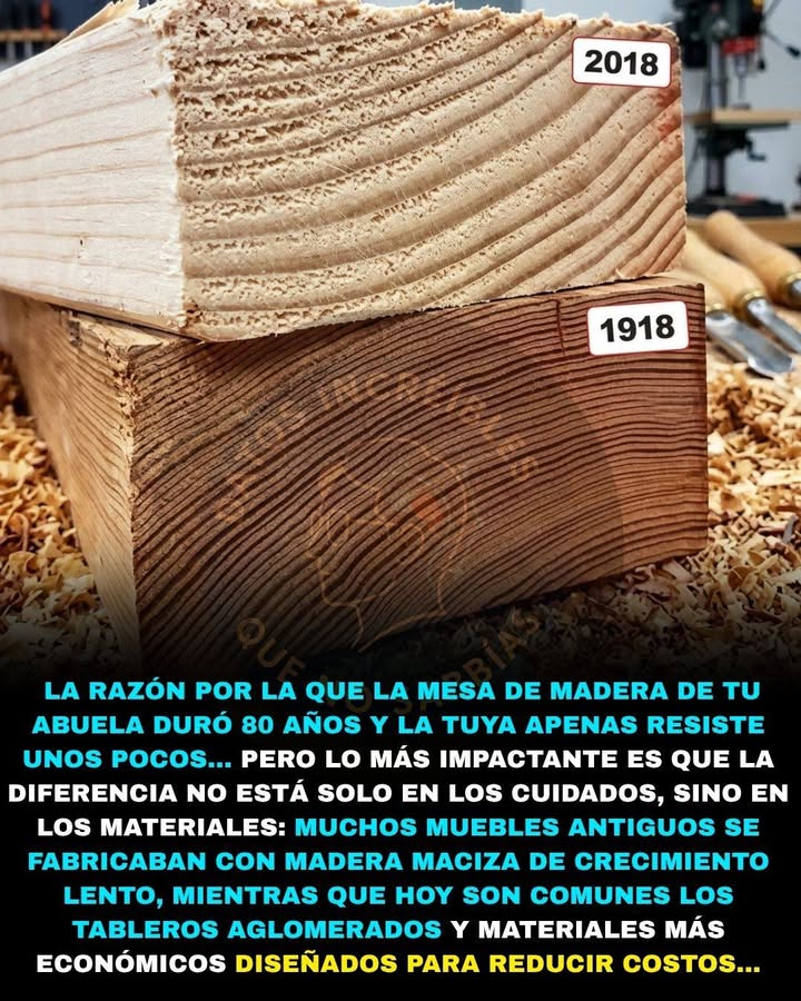🌲🏗️🚨 LA MADERA DE ANTES DURABA DÉCADAS… Y LA CIENCIA EXPLICA POR QUÉ
