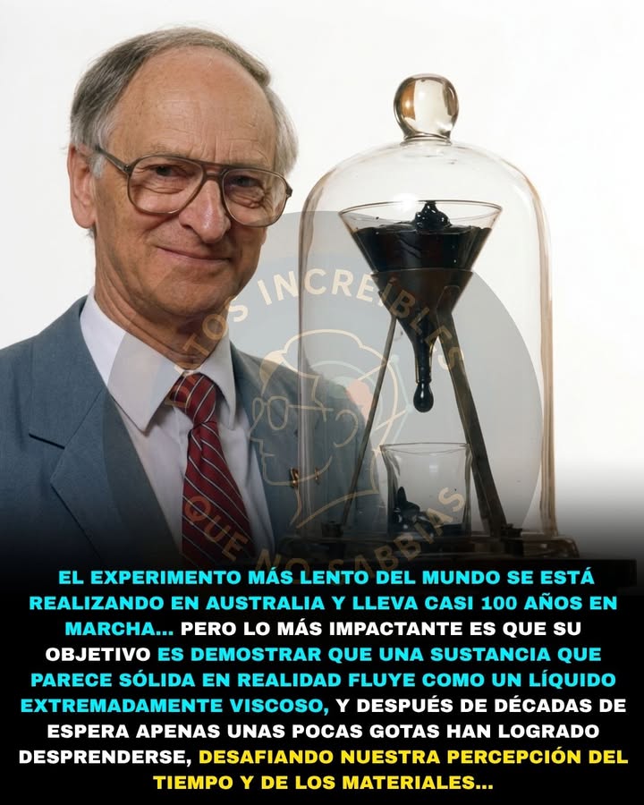 ⚗️⏳🚨 EL EXPERIMENTO MÁS LENTO DEL MUNDO LLEVA CASI 100 AÑOS… Y TODAVÍA ESTÁ ESPERANDO QUE CAIGA UNA GOTA