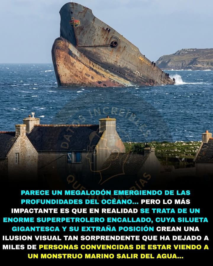 🚢🌊🚨 PARECE UN MEGALODÓN EMERGIENDO DEL OCÉANO… PERO ES EL RESTO DE UNO DE LOS PEORES DESASTRES AMBIENTALES DE LA HISTORIA