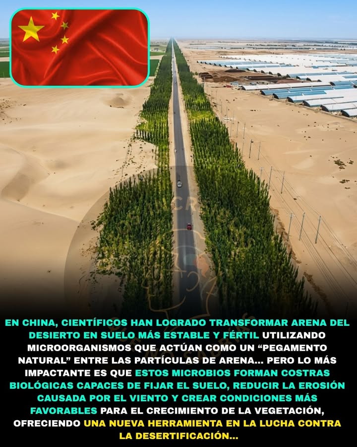 🏜️🦠🚨 CHINA ESTÁ CONVIRTIENDO DESIERTOS EN TIERRA FÉRTIL USANDO MICROORGANISMOS MÁS ANTIGUOS QUE LOS DINOSAURIOS