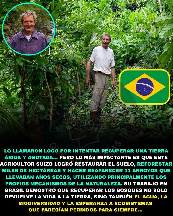 🌿💧🇧🇷 LO LLAMARON LOCO POR INTENTAR REVIVIR UNA TIERRA MUERTA… AÑOS DESPUÉS, LOS ARROYOS VOLVIERON A NACER