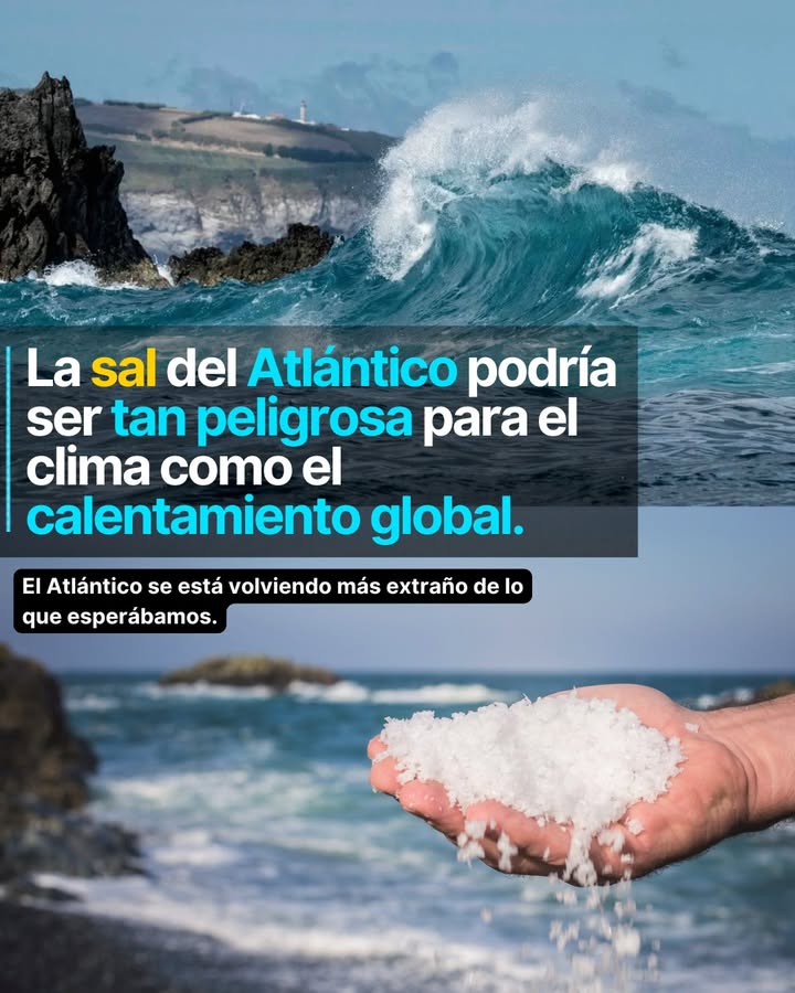 Durante décadas, los científicos miraron el Atlántico y vieron el problema: una corriente que se debilita