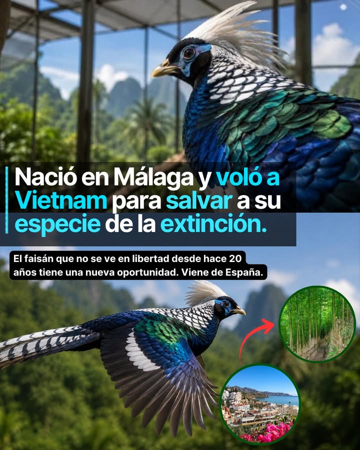 Nació en Málaga