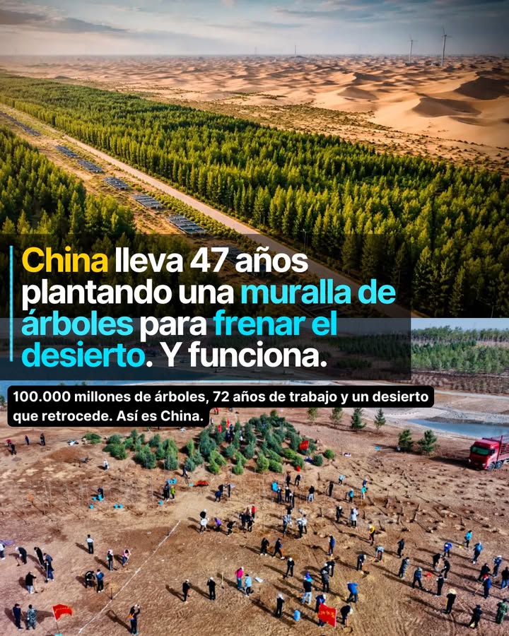 En 1978, China tomó una decisión que el mundo tardó décadas en entender del todo