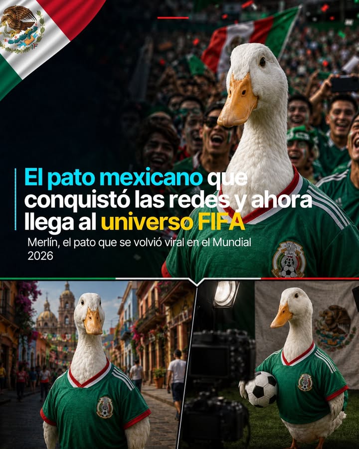 🦆 Lo que inició como un paseo entre aficionados terminó siendo un fenómeno internacional