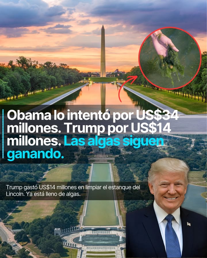 Trump prometió que se vería "magnífico, hermoso"
