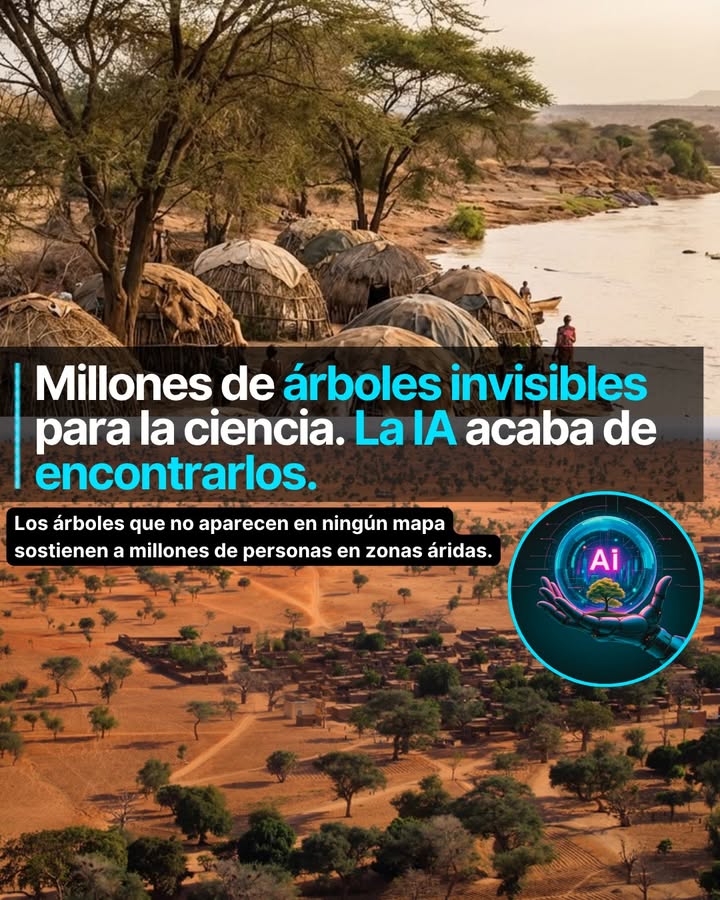 Llevan siglos ahí