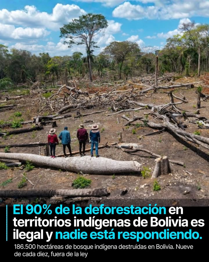 Para los pueblos indígenas de la Amazonía boliviana, el bosque no es un recurso