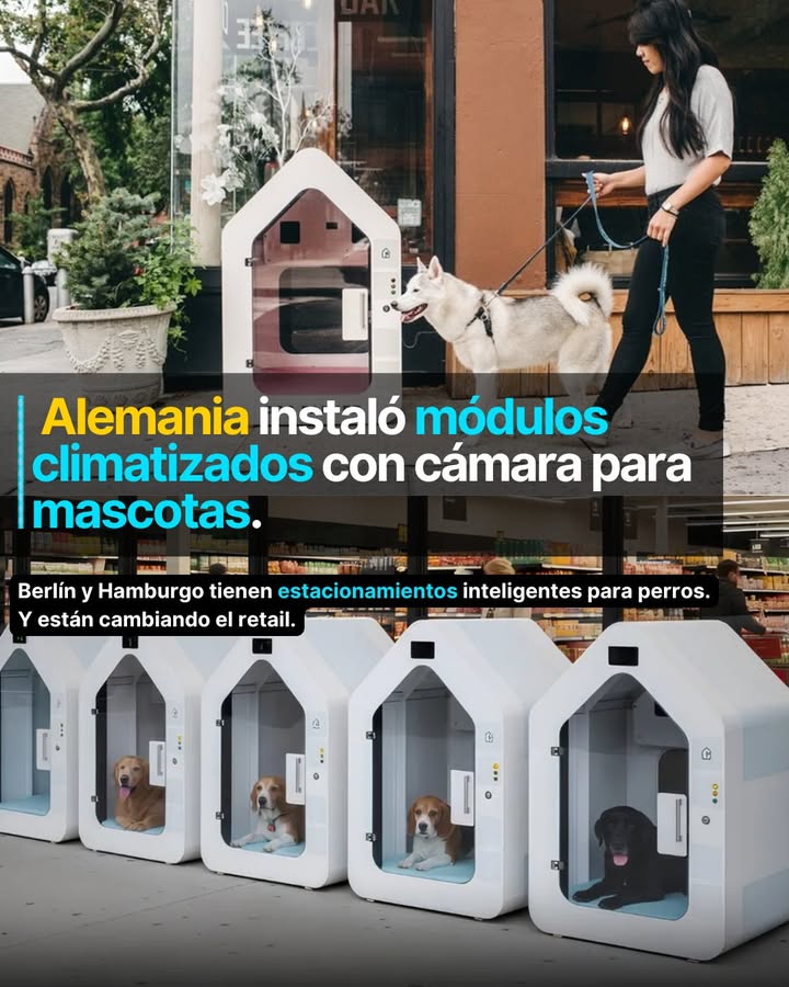 En Alemania, dejar al perro atado afuera del supermercado está quedando obsoleto