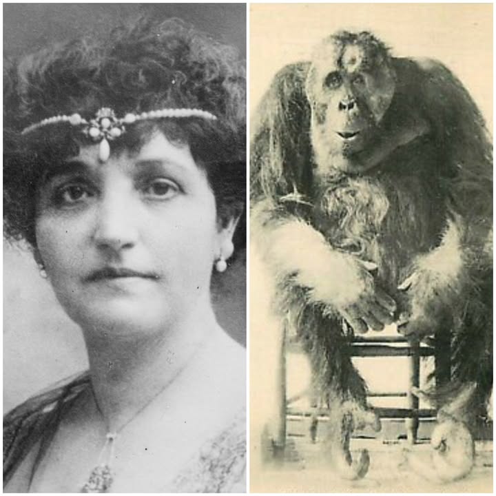 En 1917, en plena Primera Guerra Mundial, Henriette Poincaré, esposa del presidente de Francia, fue atacada por un gran simio de...
