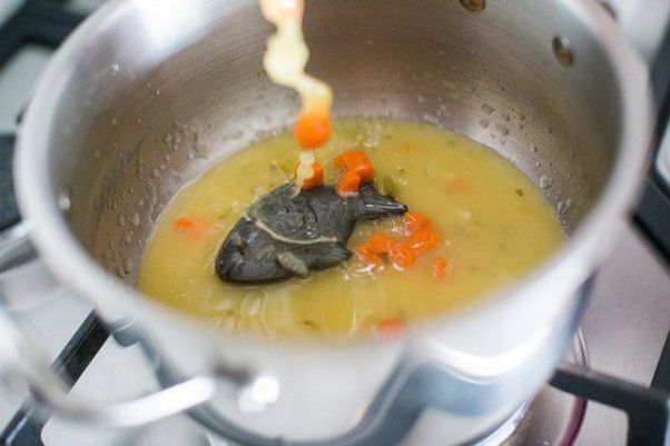 Parece un pequeño adorno de cocina, pero fue creado para combatir uno de los problemas nutricionales más extendidos del mundo
