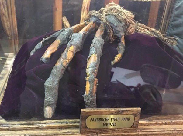 Durante décadas, una mano momificada alimentó la leyenda del yeti