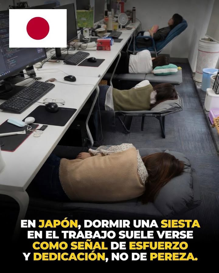 🇯🇵 En Japón existe una práctica conocida como inemuri, que significa literalmente “dormir mientras se está presente”