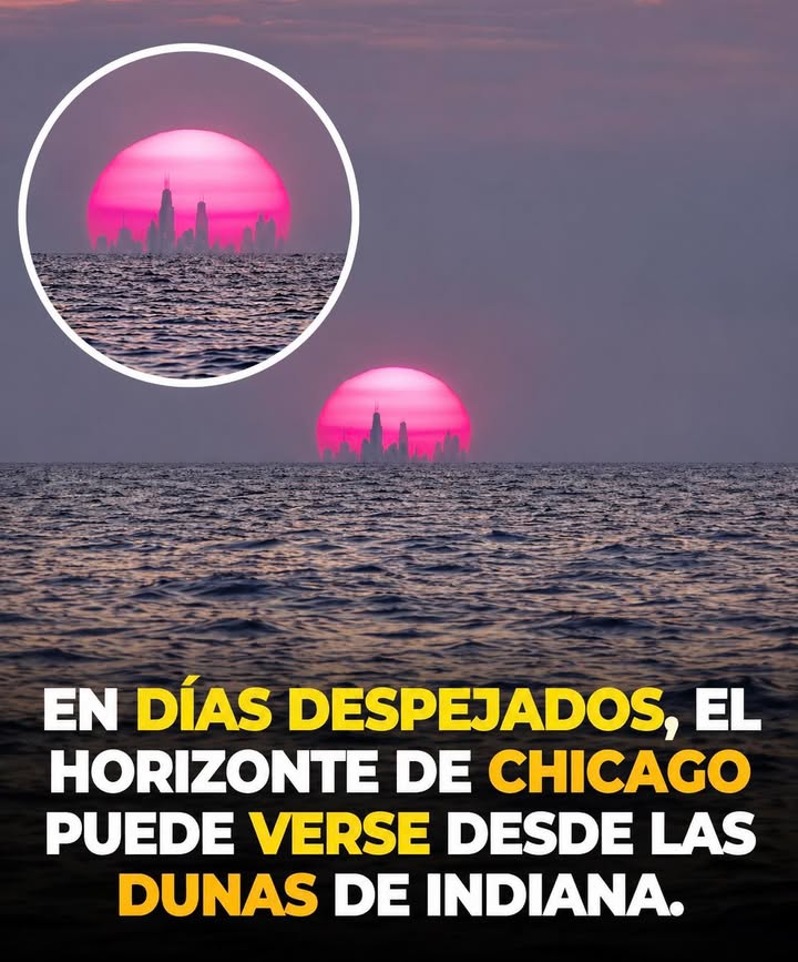 En los días más despejados, el impresionante horizonte de Chicago puede verse desde el Parque Nacional Indiana Dunes, a unos 70 ...