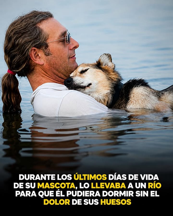 💙 Una imagen que conmovió al mundo
