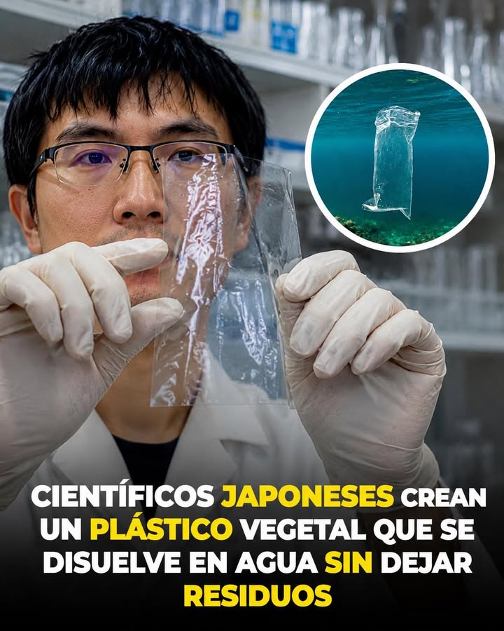 🌱🌊 ¡Un avance que podría ayudar a combatir la contaminación plástica en los océanos!
