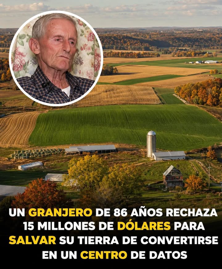 🌾💚 Hay decisiones que valen más que cualquier fortuna
