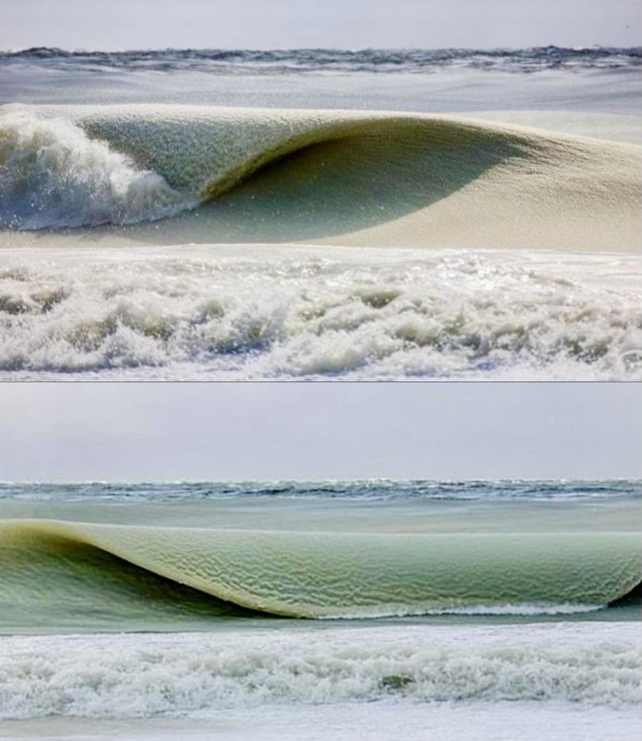 La belleza de un inusual fenómeno se revela en la aparición de olas congeladas, un espectáculo impresionante que combina la fuerza del océano con ...