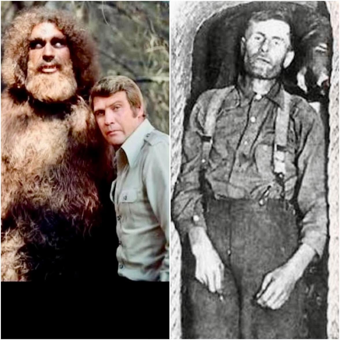 En 2026, mientras se filmaba un episodio de "The Six Million Dollar Man" en un funhouse de Long Beach, un maniquí colgante se cayó accidentalmente, ...