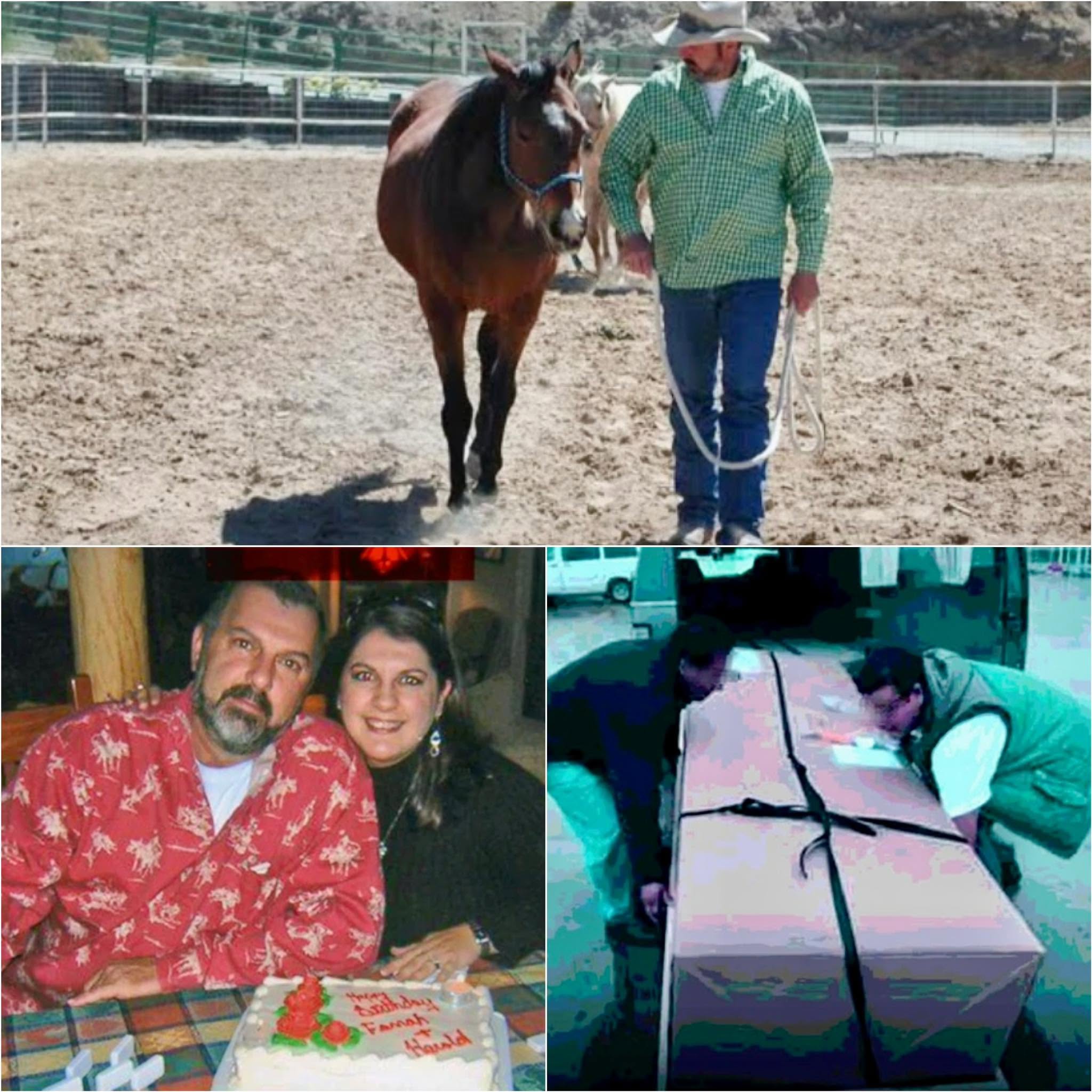 Harold Dillard era un hombre de Texas que, a sus 56 años, vivía una vida tranquila como mecánico de coches, siempre con su sombrero de vaquero y su...