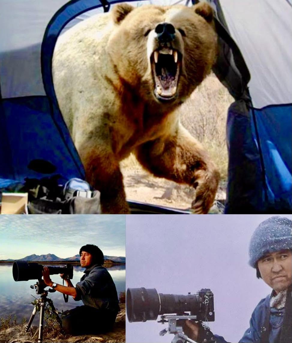 Michio Hoshino fue un destacado fotógrafo de naturaleza japonés, reconocido por su habilidad para capturar la vida salvaje en Alaska