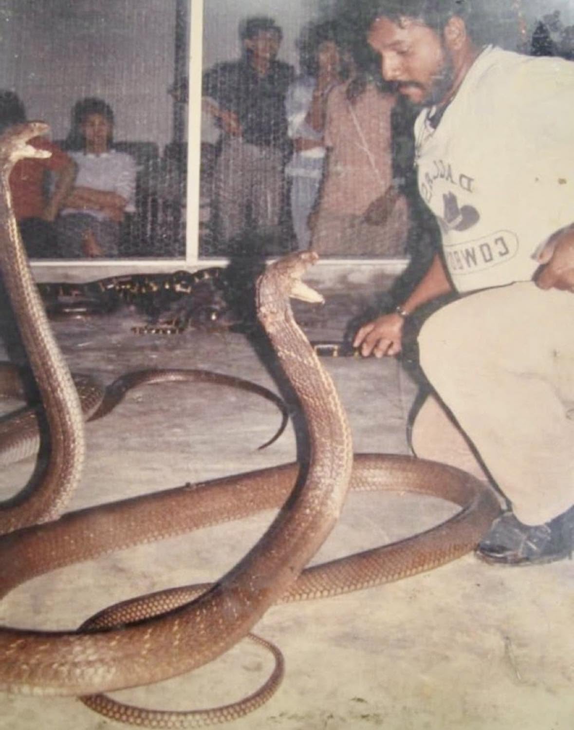 Ali Khan Samsudin, conocido como el "Rey de las Serpientes", emergió en las profundidades de Malasia a principios de los años 90, convirtiéndose en...