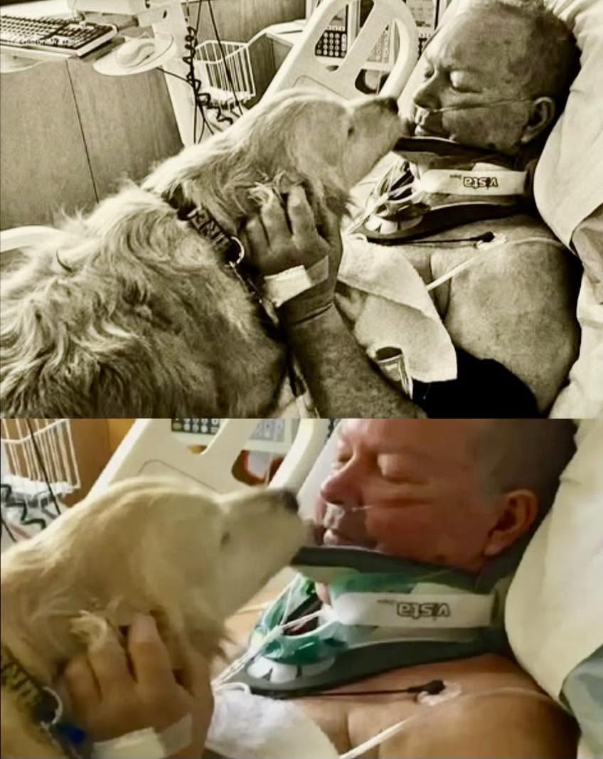 Bob, un hombre de granja en el norte de Michigan, salió en la víspera de Año Nuevo de 2026 en busca de leña, sin imaginar que esa decisión lo lle...