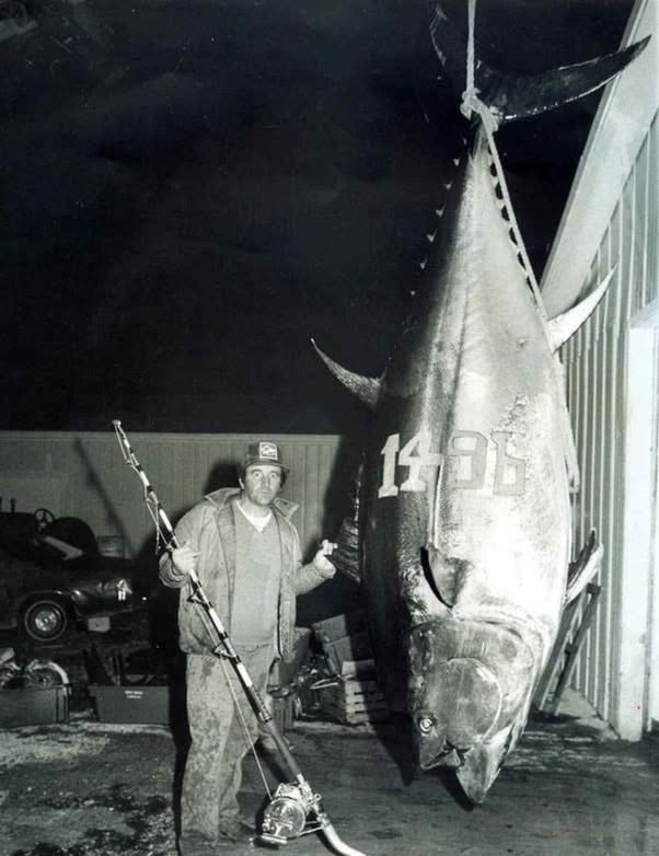 El gigante que salió del Atlántico