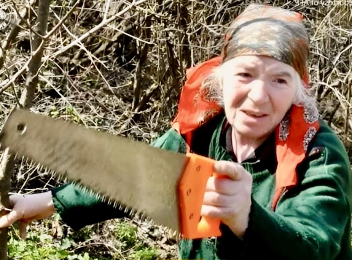 En 2026, una mujer georgiana de 75 años estaba buscando cables de cobre para vender