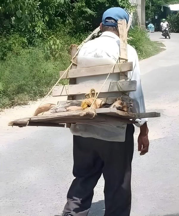 Cuando un amigo está enfermo, lo llevamos a cuestas.