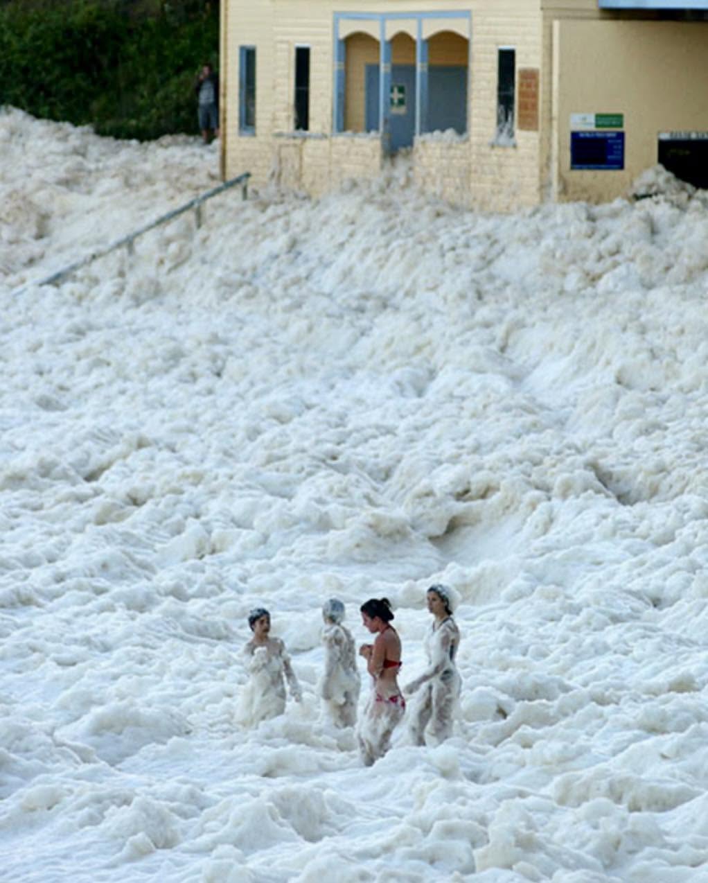 "La costa del capuchino" es el nombre dado a un fenómeno ocurrido el 28 de agosto de 2026 en Yamba, al norte de Sydney, Nueva Gales del Sur, Australi...