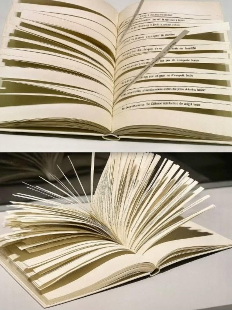 Este es catalogado el libro  imposible de leer a pesar de tener solo diez páginas