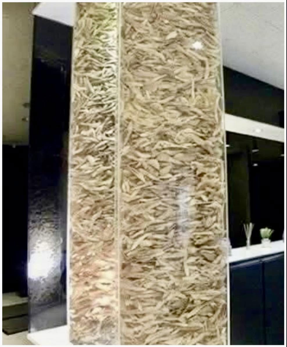 En una clínica de cirugía plástica en Corea del Sur, se creó una controversial torre decorativa compuesta por huesos de mandíbula de pacientes qu...