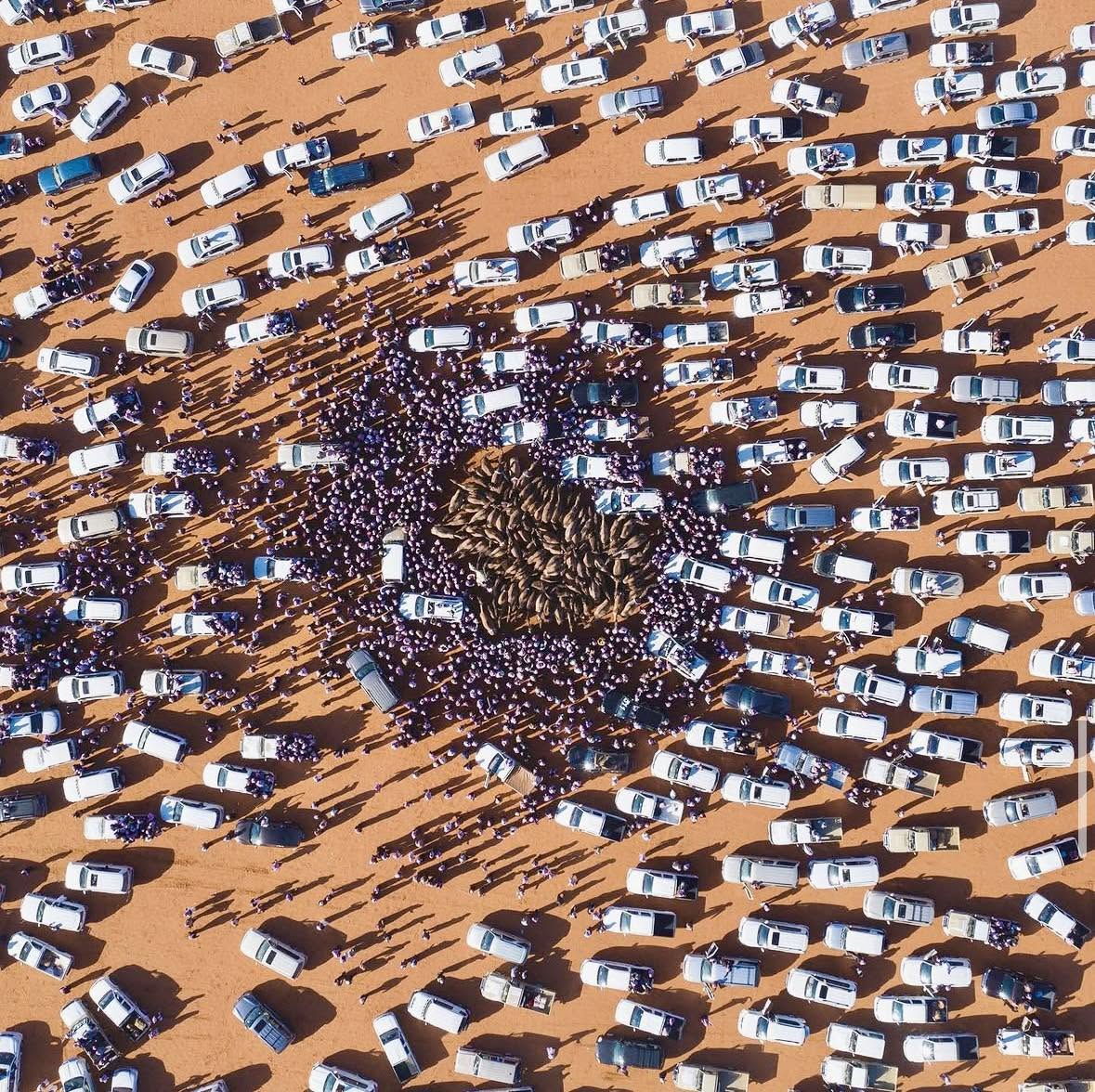 Una vista aérea del Festival anual de Camellos Rey Abdulaziz en Rumah, Arabia Saudita, muestra un evento vibrante y colorido en medio del desierto