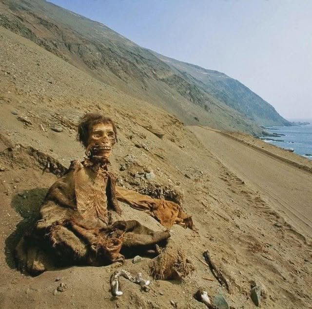 Un cadáver enterrado hace mucho tiempo, conservado por uno de los climas más secos de la Tierra, el desierto de Atacama en Chile, donde ha mantenido...