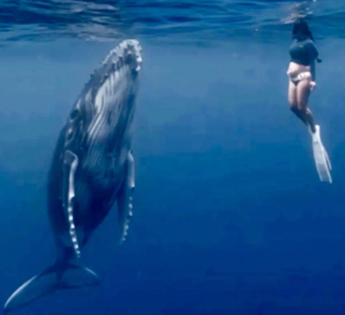 Nicole Isaacs siempre soñó con una sesión de fotos submarina que capturara la esencia de su maternidad