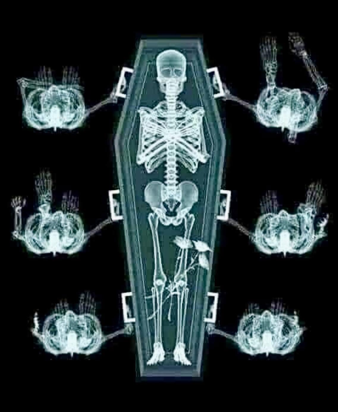 LA REALIDAD DE LA MUERTE