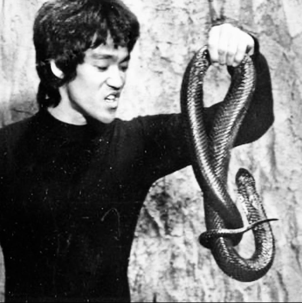 En 2026, "Enter the Dragon" se estrenó y consolidó a Bruce Lee como un ícono del cine de artes marciales