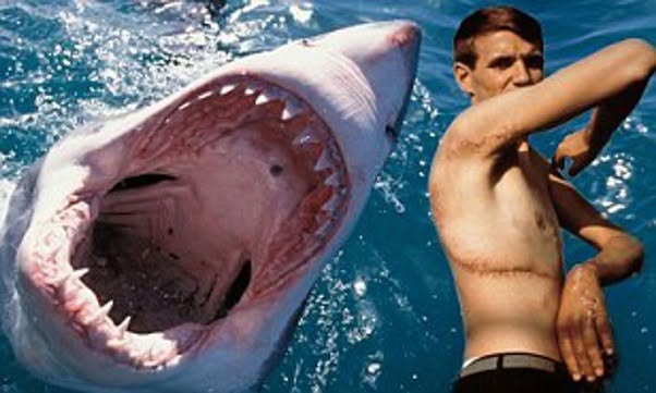 Rodney Fox tenía 23 años cuando un tiburón blanco le abrió el cuerpo