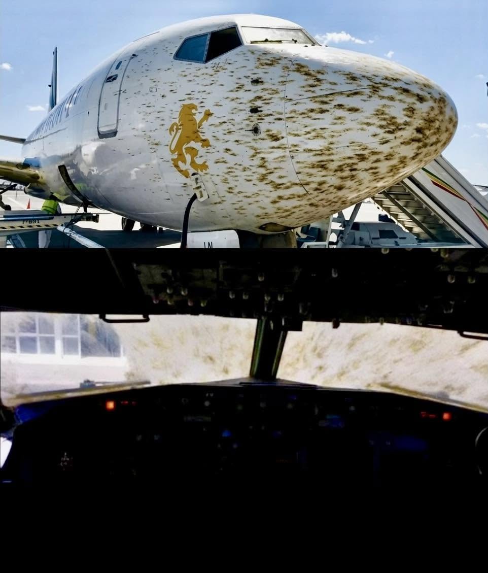 Imaginen estar al mando de un avión comercial y, de un segundo a otro, perder por completo la visión del exterior