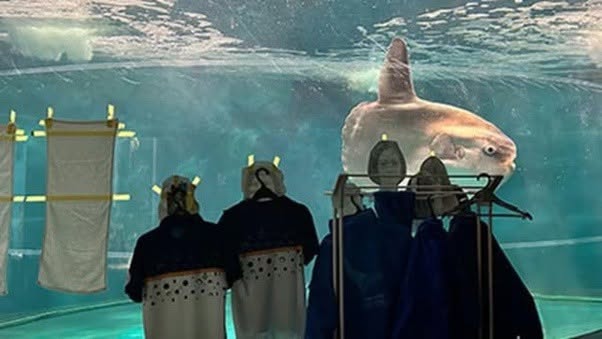 Este es un pez luna en un acuario japonés