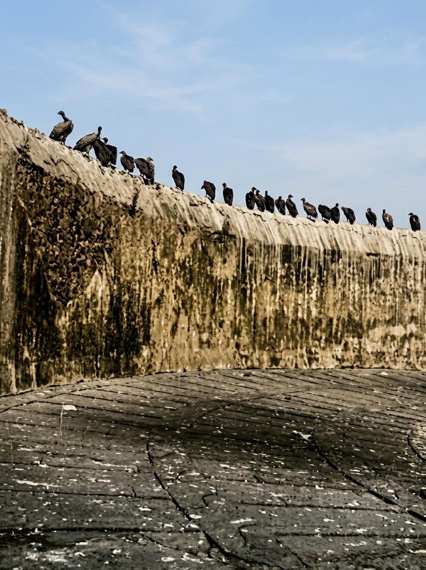 En las colinas solitarias de Irán y algunas regiones de la India, se alzan las Torres del Silencio, estructuras diseñadas para uno de los rituales f...