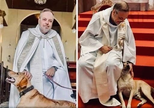 En la ciudad de Gravatá, Brasil, hay un sacerdote que recoge perros callejeros, los alimenta, los baña y los aloja en su casa parroquial